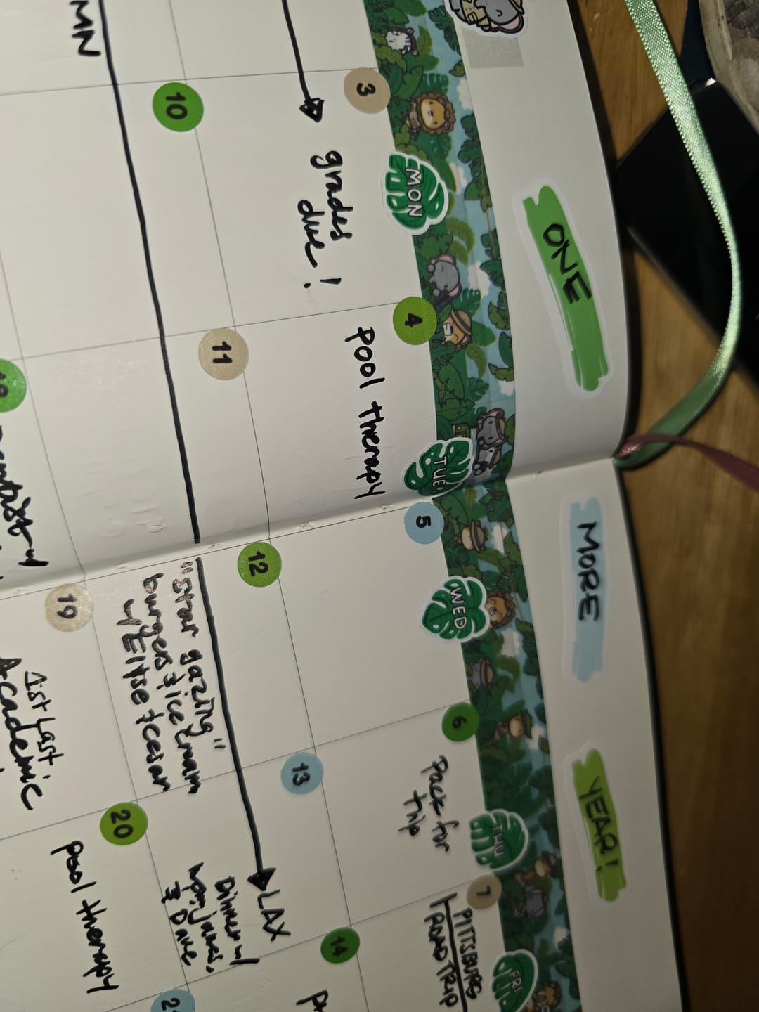 Customer photo review of Safari Adventure Junk Journaling Kit