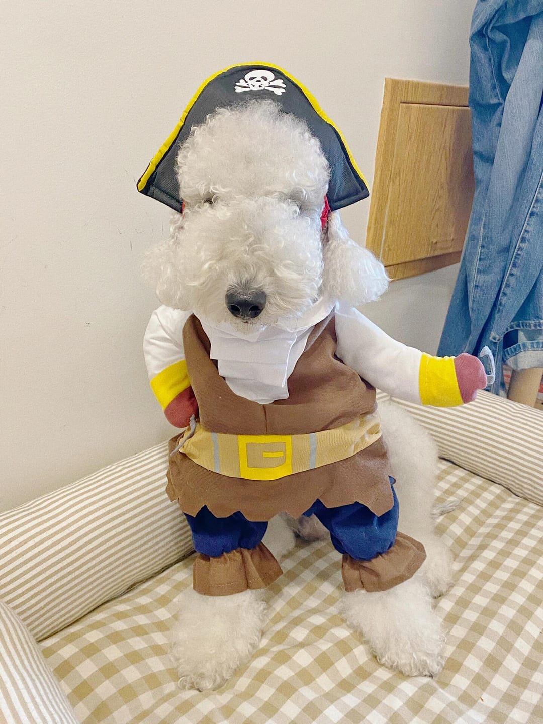 Customer photo review of Costume Pirates of The Caribbean Style