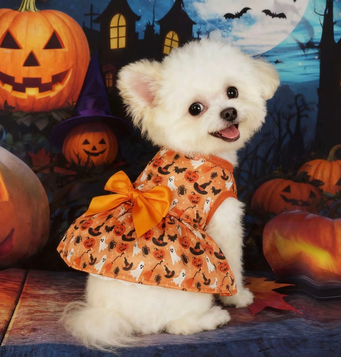 Customer photo review of Pumpkin Dress Halloween Costume