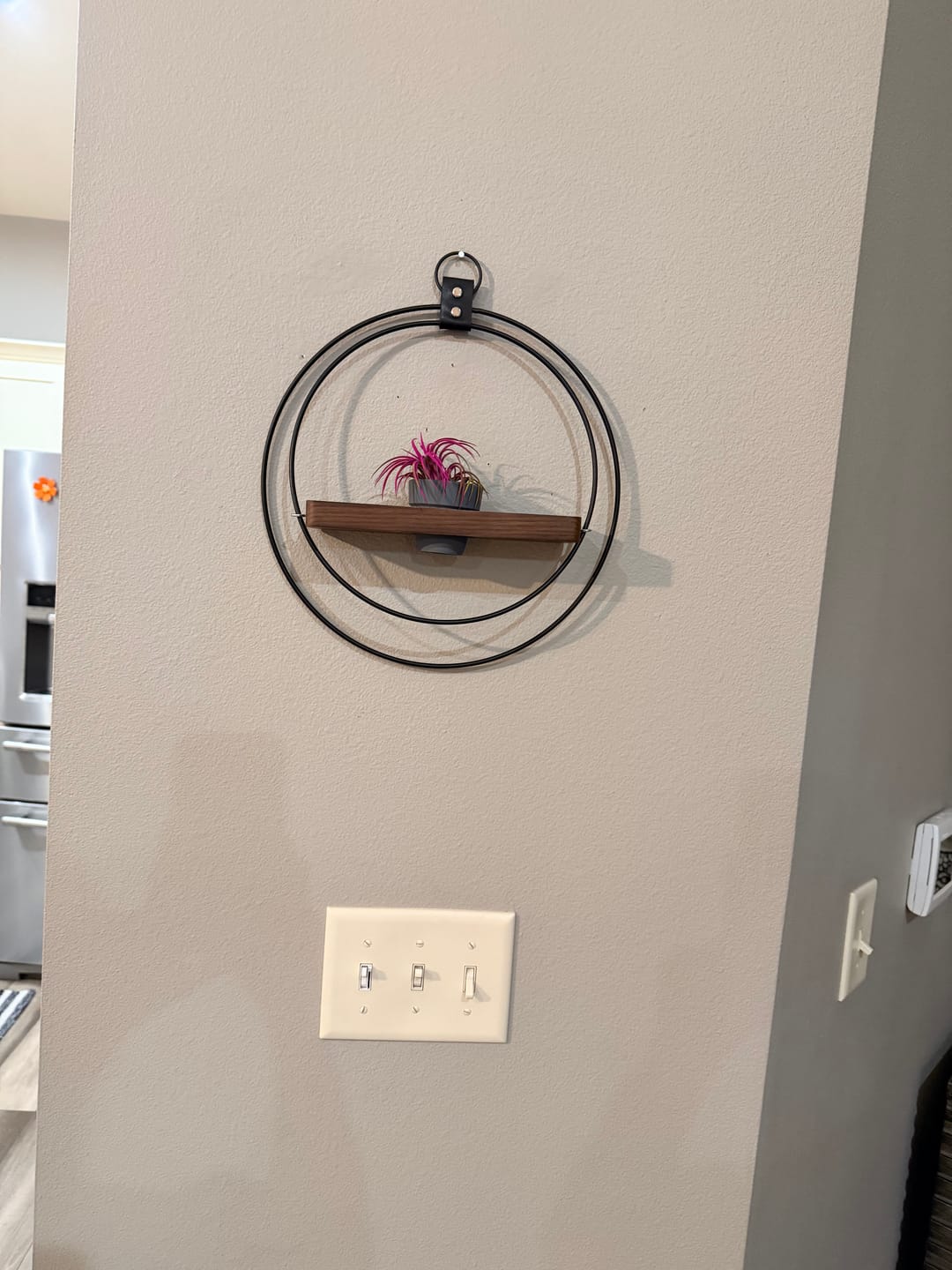Customer photo review of Air Plant Shelf + Pot