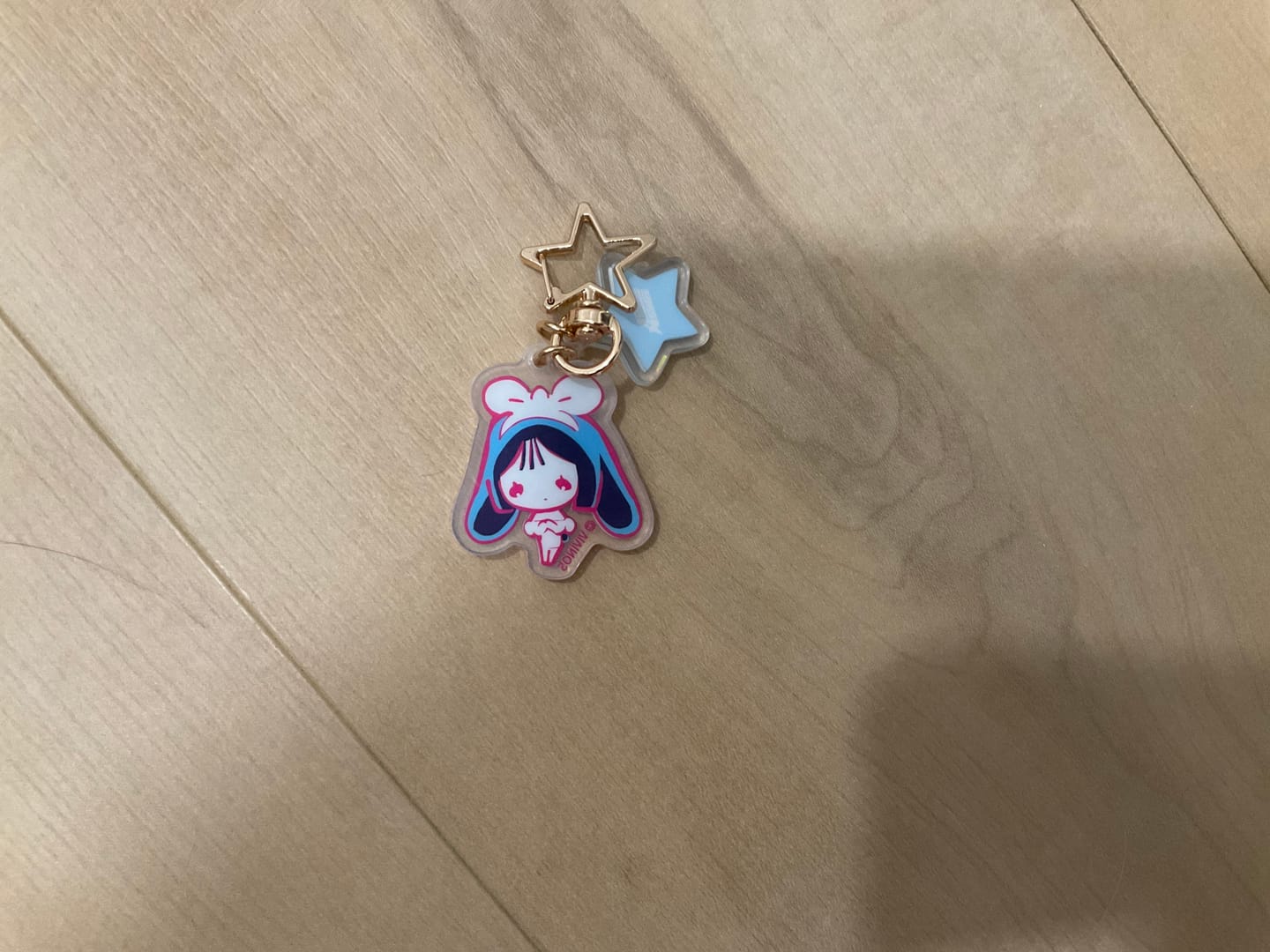 Customer photo review of Alien Stage Rabbit Series Acrylic Key Chain