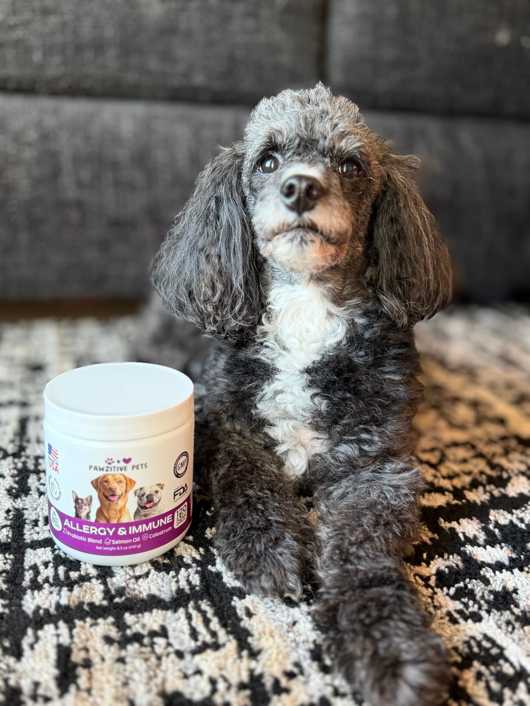 Customer photo review of Dog Allergy Chews for Itchy Skin, Paw Licking & Seasonal Allergies – Immune Support, 120 Soft Chews (Beef Flavor)
