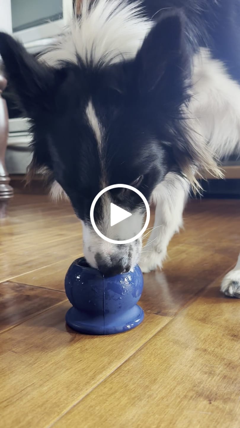 Customer video review of Freezball - Durable Fillable Dog Chew Bone