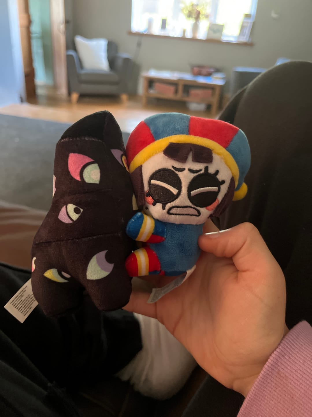 Customer photo review of Pomni & Abstraction Magnetic Plush Keychains