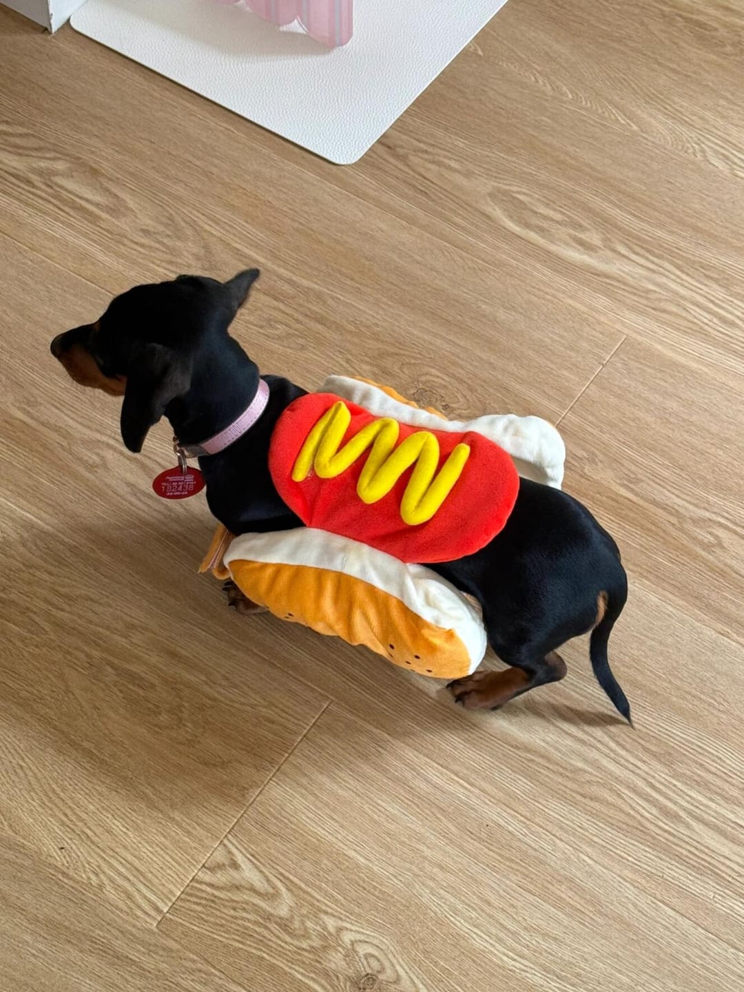 Customer photo review of Sausage Adjustable Costume Suit