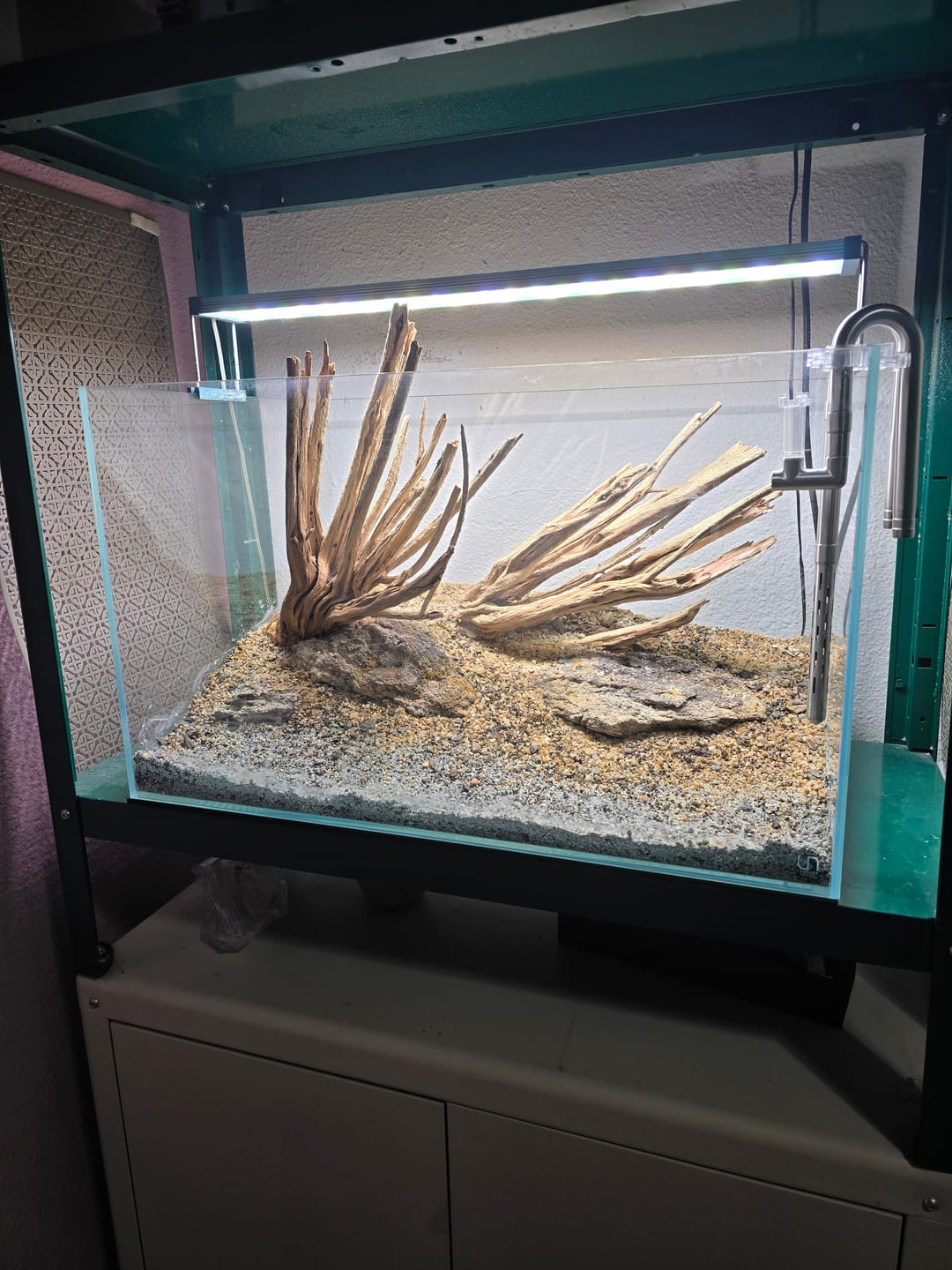 Customer photo review of WIO - Tan Savage Riverbed