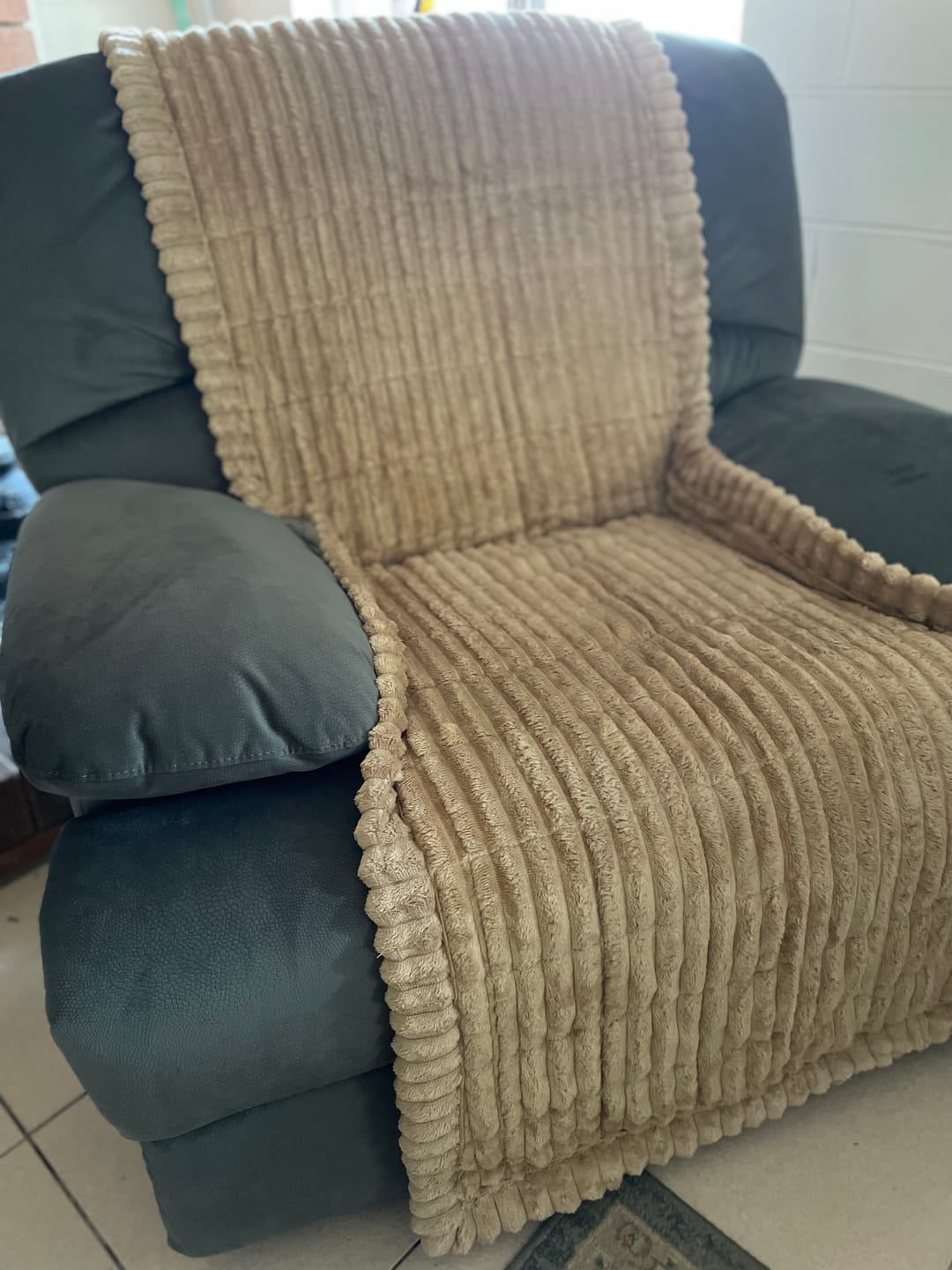 Customer photo review of CouchCloud - Couch Covers