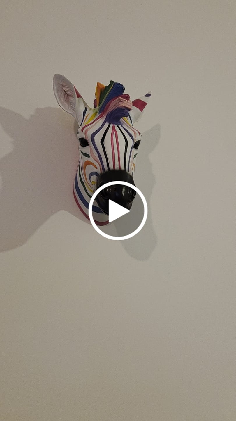 Customer video review of Wall Mounted Head - Multicolour Zebra