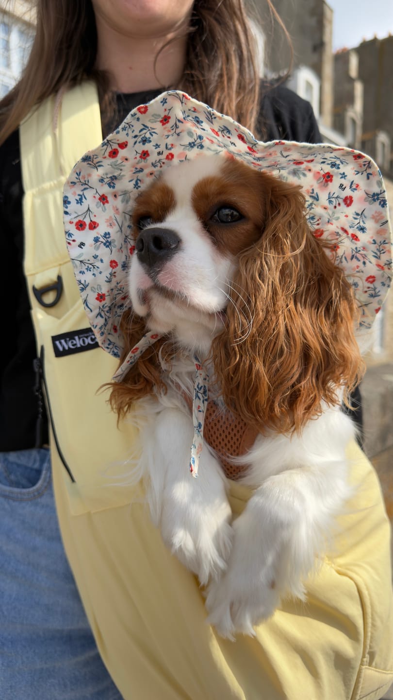 Customer photo review of Sac de transport en bandoulière jaune - Version printemps / été