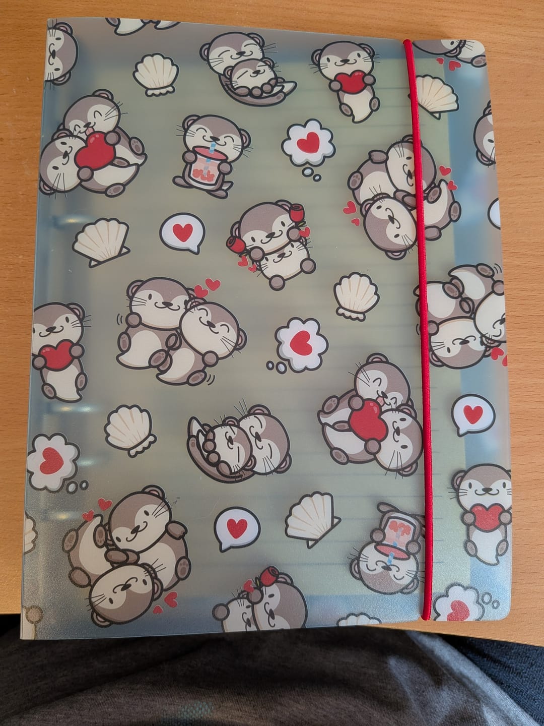 Customer photo review of Sticker Storage Binder - My Otter Half (S Size)