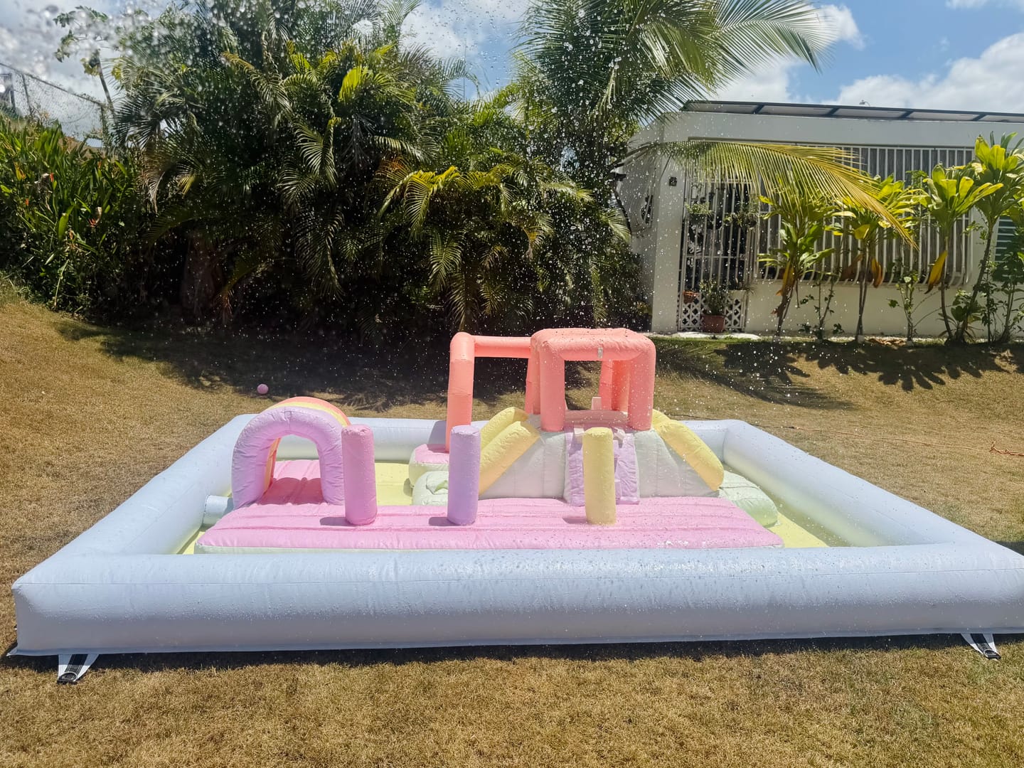 Customer photo review of Coral Splash Island