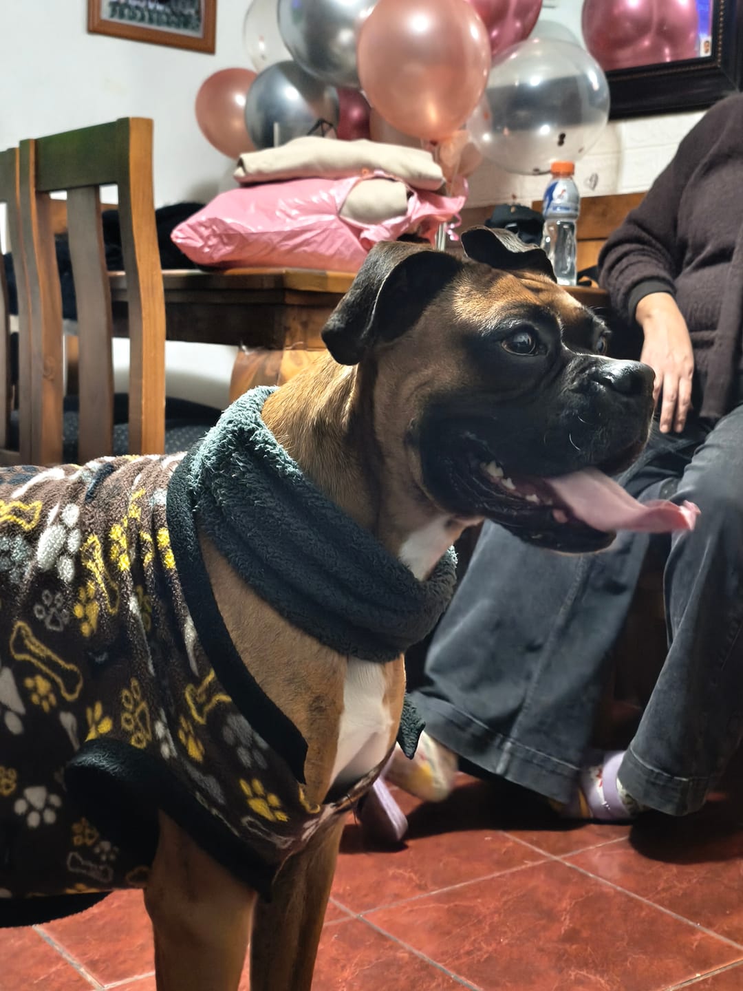 Customer photo review of Match Cotton Candy — Fragancia para ti + para tu mascota