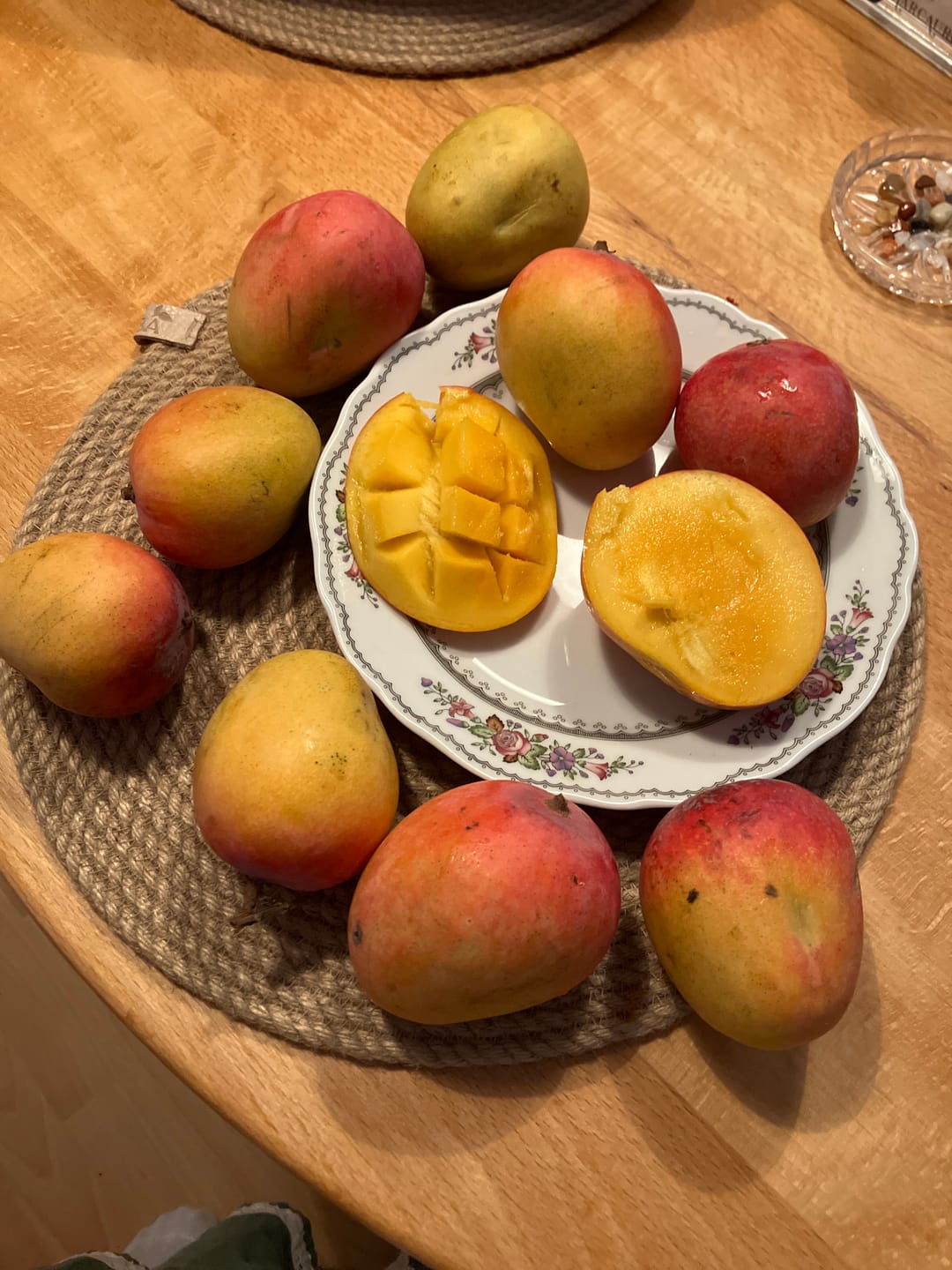 Customer photo review of Mini-Mango Tropigold von Antonio Aktionspreis %