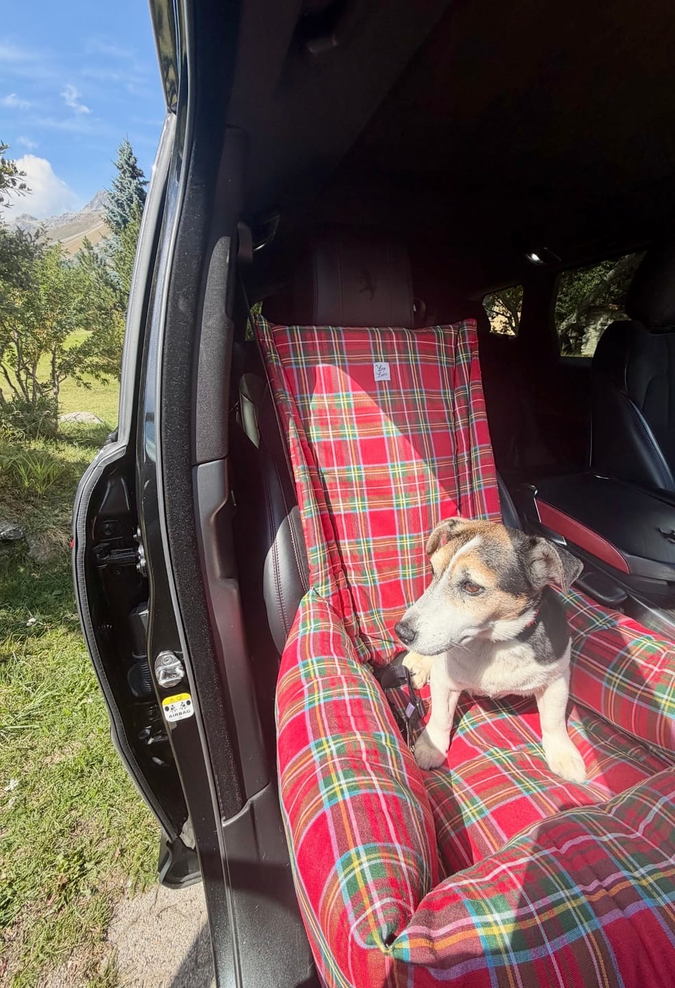 Customer photo review of Seggiolino Auto Cotone Scozzese Rosso
