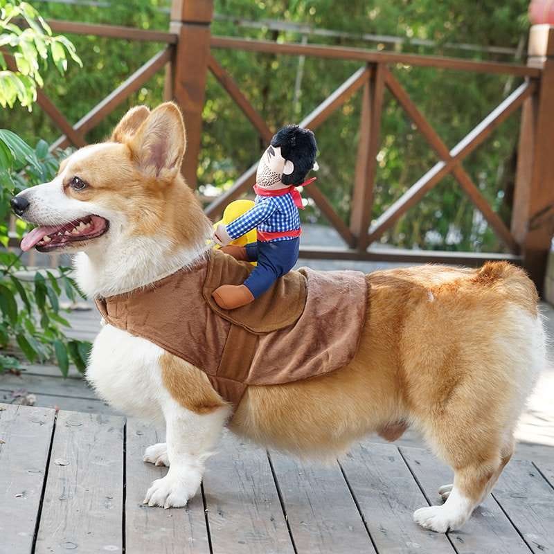 Customer photo review of Cowboy costume