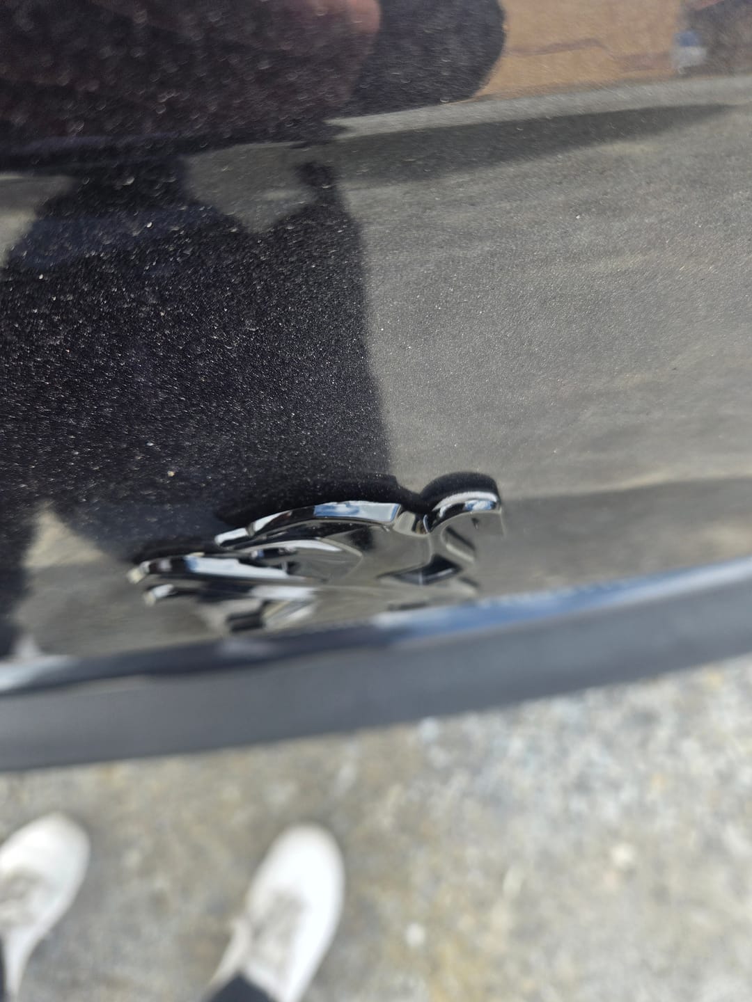 Customer photo review of Logo Peugeot Noir