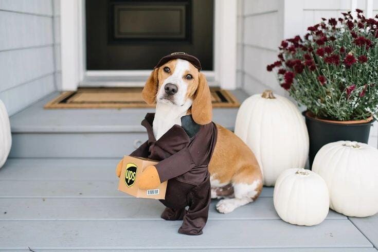 Customer photo review of UPS costume