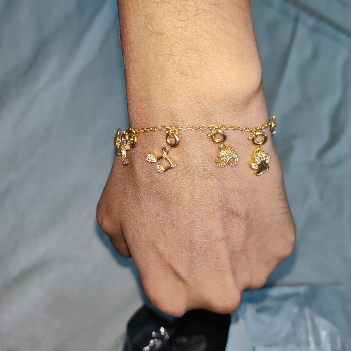 Customer photo review of Charms Bracelet