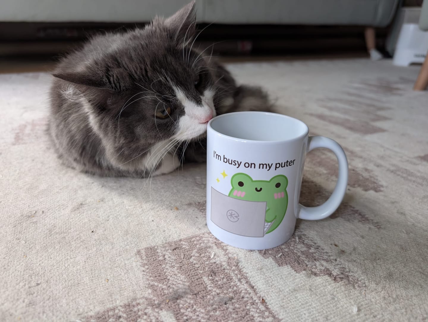 Customer photo review of I'm Busy On My Puter Albert The Frog Mug