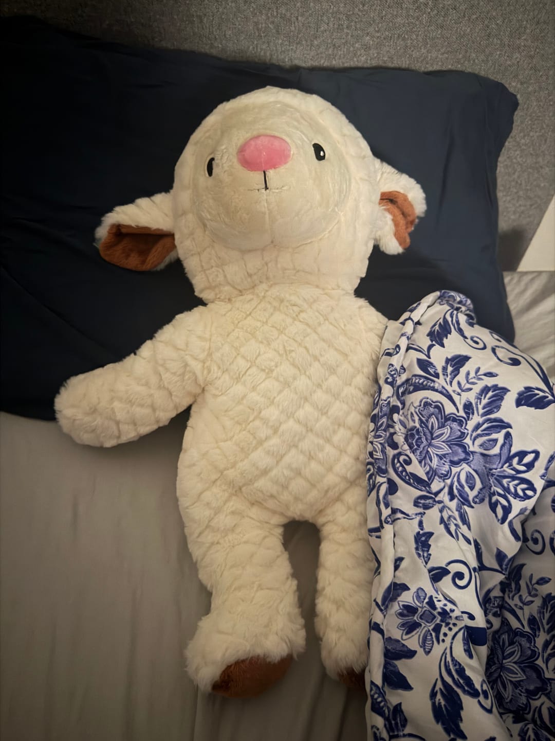 Customer photo review of Lotgenootje Schaap 2kg
