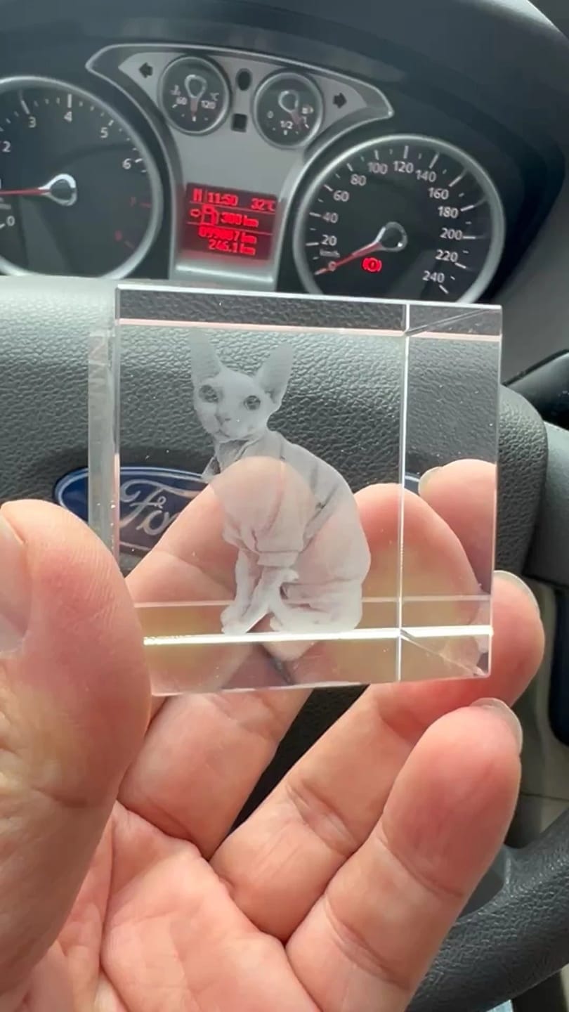 Customer photo review of 3D Pet Portrait Sculpting Crystal Night Light