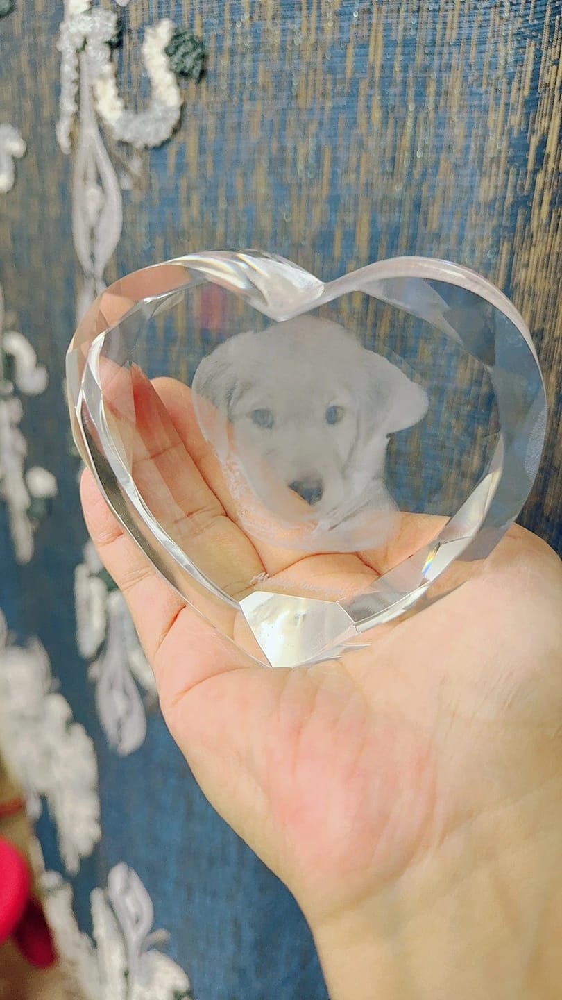 Customer photo review of 3D Pet Portrait Sculpting Crystal Night Light