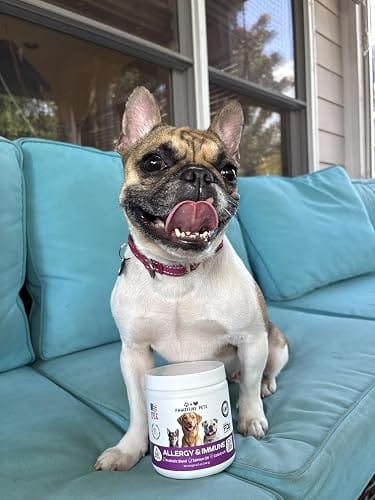 Customer photo review of Dog Allergy Chews for Itchy Skin, Paw Licking & Seasonal Allergies – Immune Support, 120 Soft Chews (Beef Flavor)