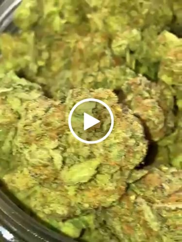 Blueberry Syrup - Bulk - Indica photo review