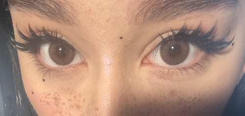 Customer photo review of Eyemoody Dark Brown | 6 Months, 2 pcs