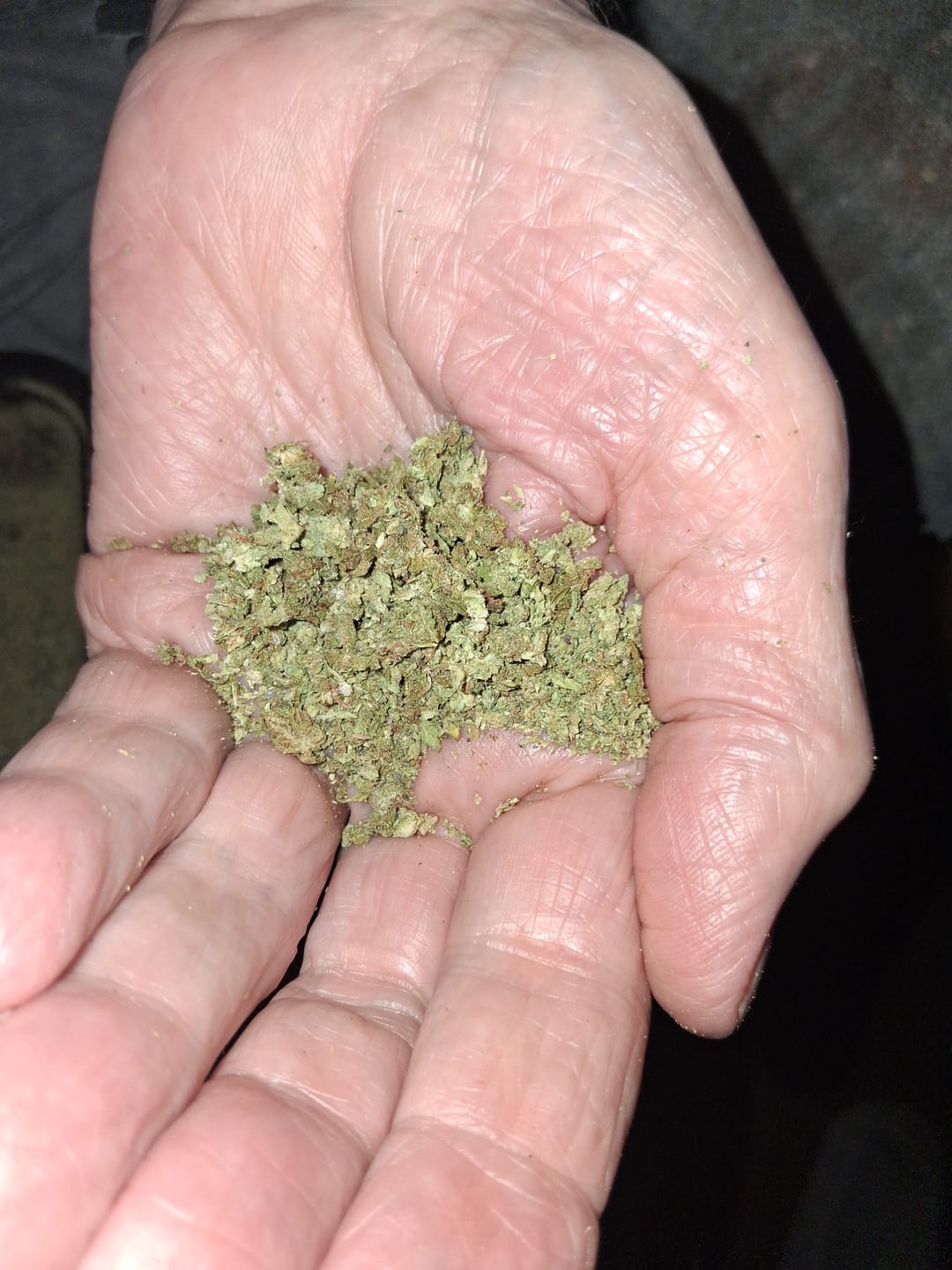 Customer photo review of Maui Wowie - Minis - 28 Grams - Sativa