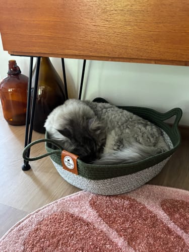 Customer's grey and green Instinct Basket placed on a floor with a fluffy cat curled up sleeping inside.