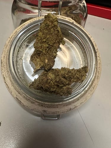 Godfather OG - 28 Gramm - Indica photo review