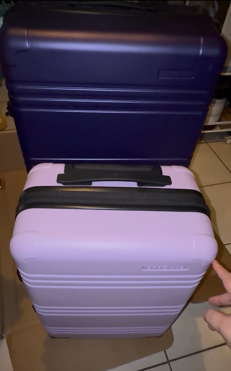 Customer photo review of Check In Max Expandible