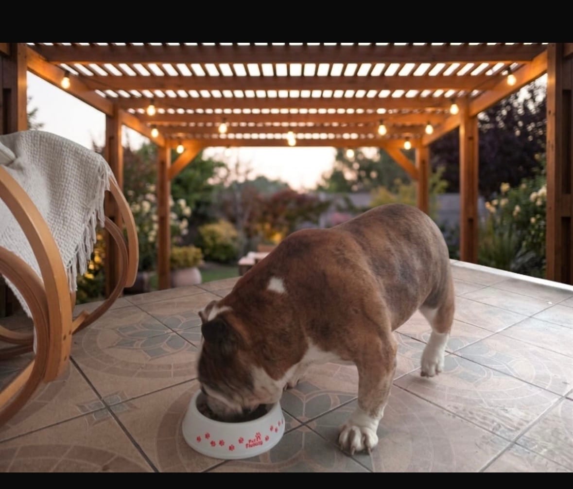 Customer photo review of PetFamily Foods Cerdo Nordico