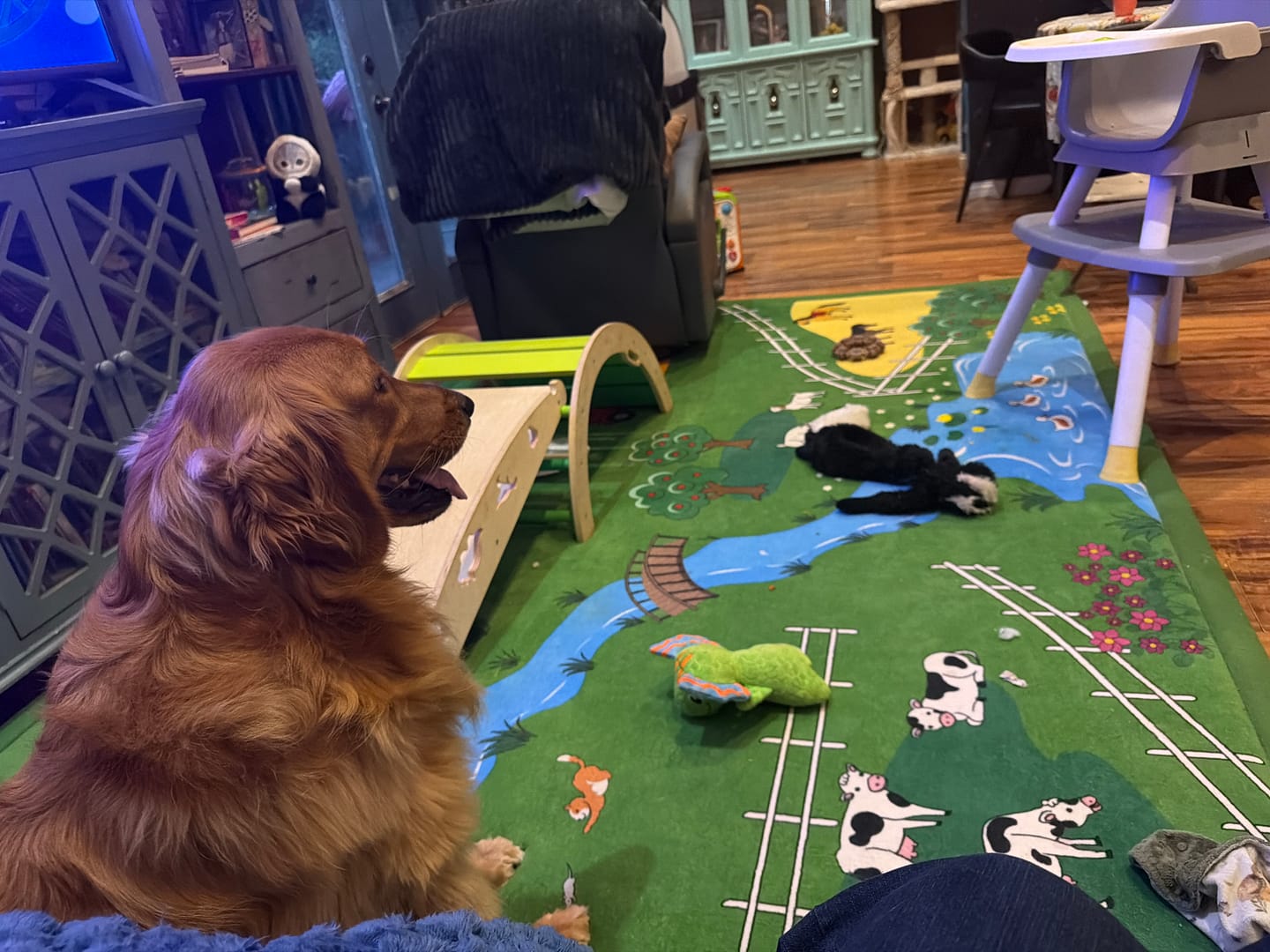 Customer photo review of Relax Mat - 1.4" Thick Soft Foam Play Mat