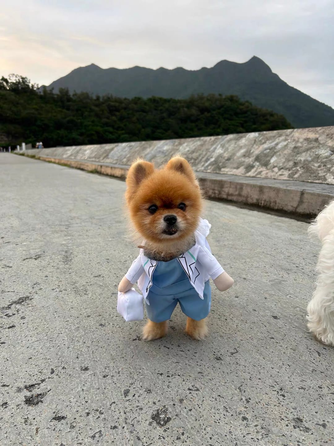 Customer photo review of Doctor Costume