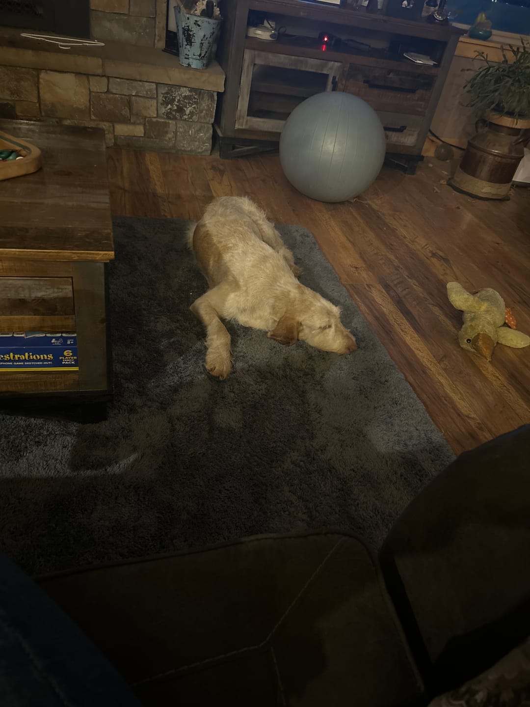 Customer photo review of Shaggy Relax Mat - 1.4" Thick Foam Base