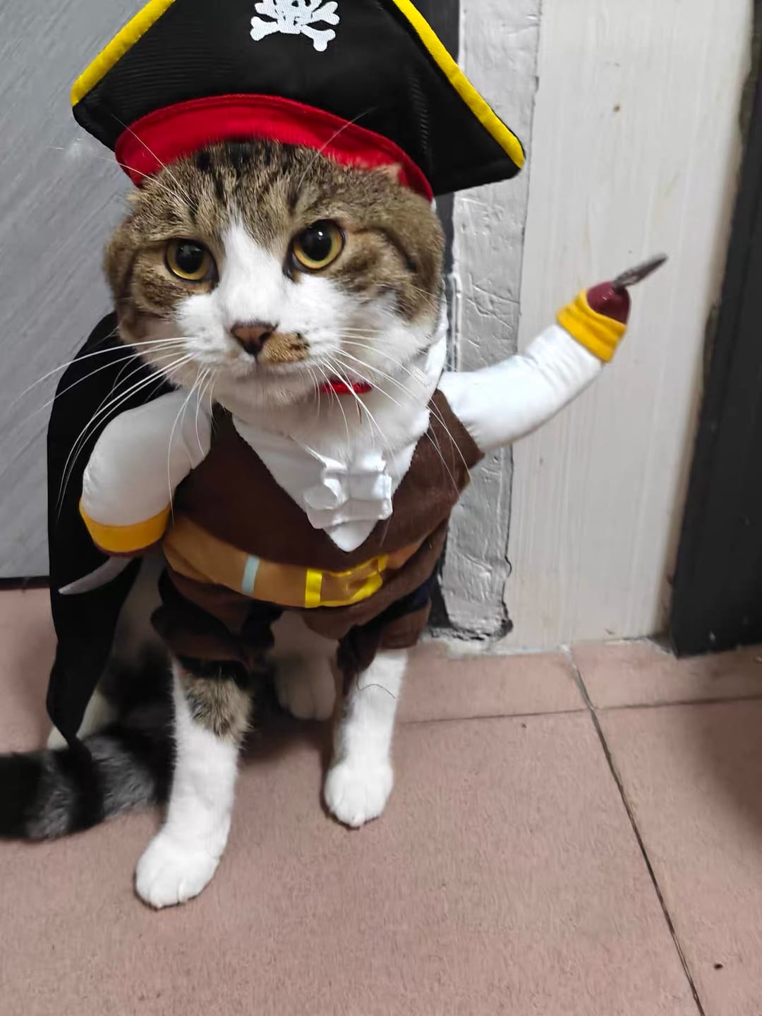 Customer photo review of Costume Pirates of The Caribbean Style