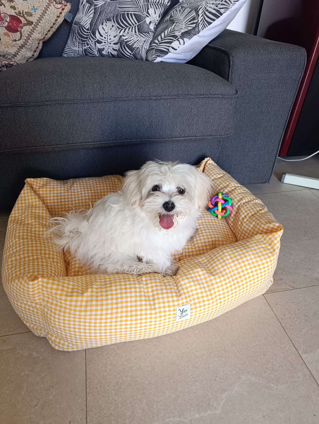Customer photo review of Divanetto Cotone Vichy Giallo