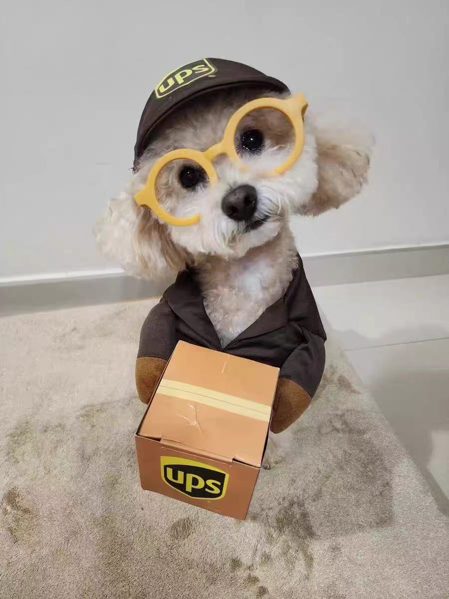 Customer photo review of UPS costume