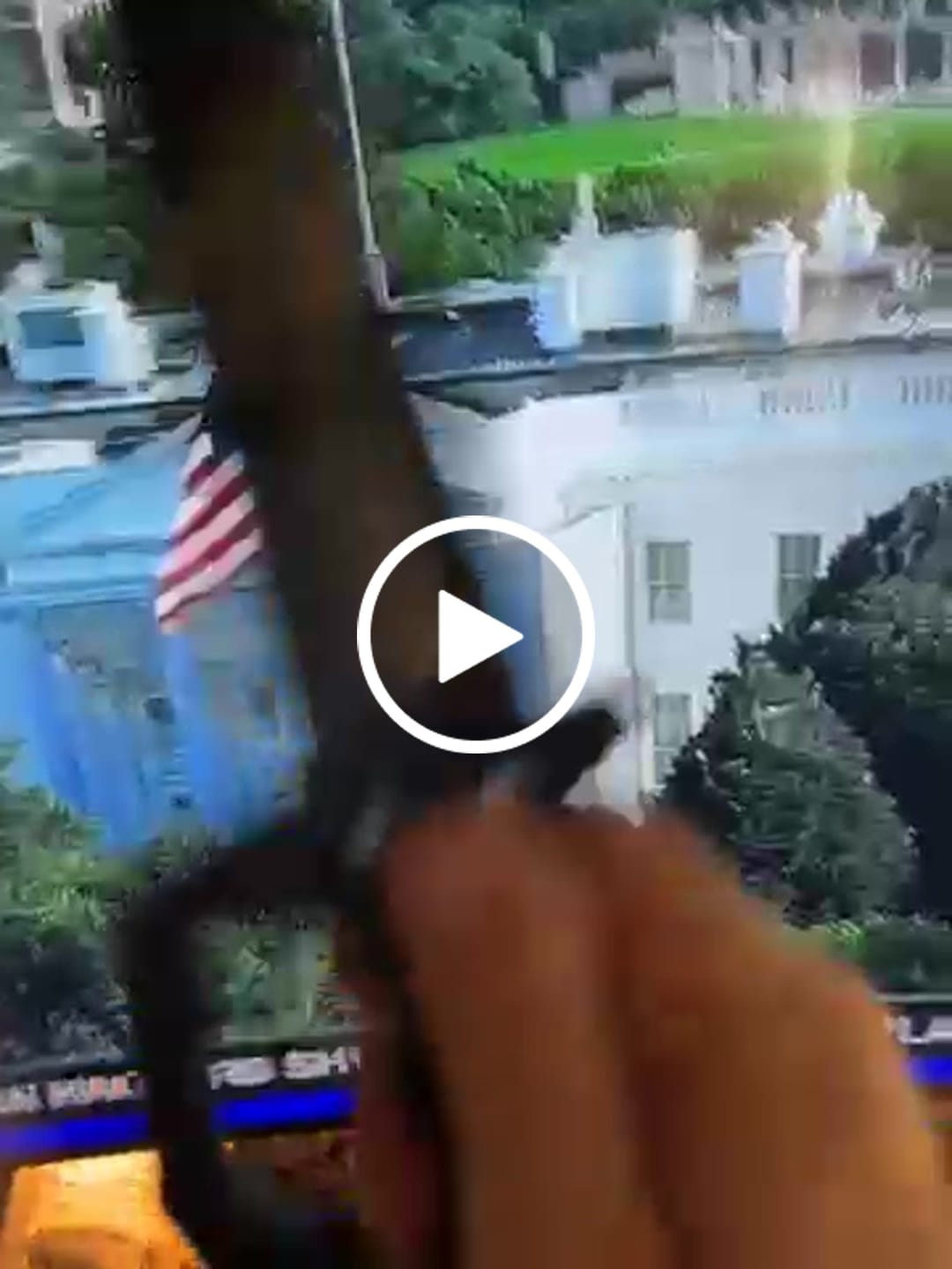 Customer video review of Ave Christus Rex Trench War Dagger