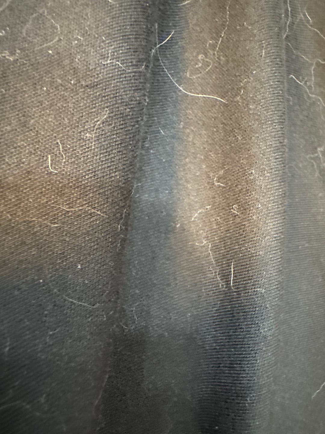 Customer photo review of Mock Neck T-Shirt