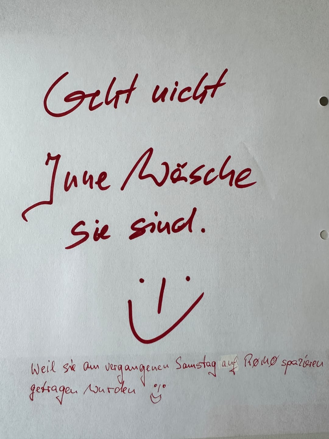 Customer photo review of Moin ihr Fritten!  · Herren Premium Bio T-Shirt