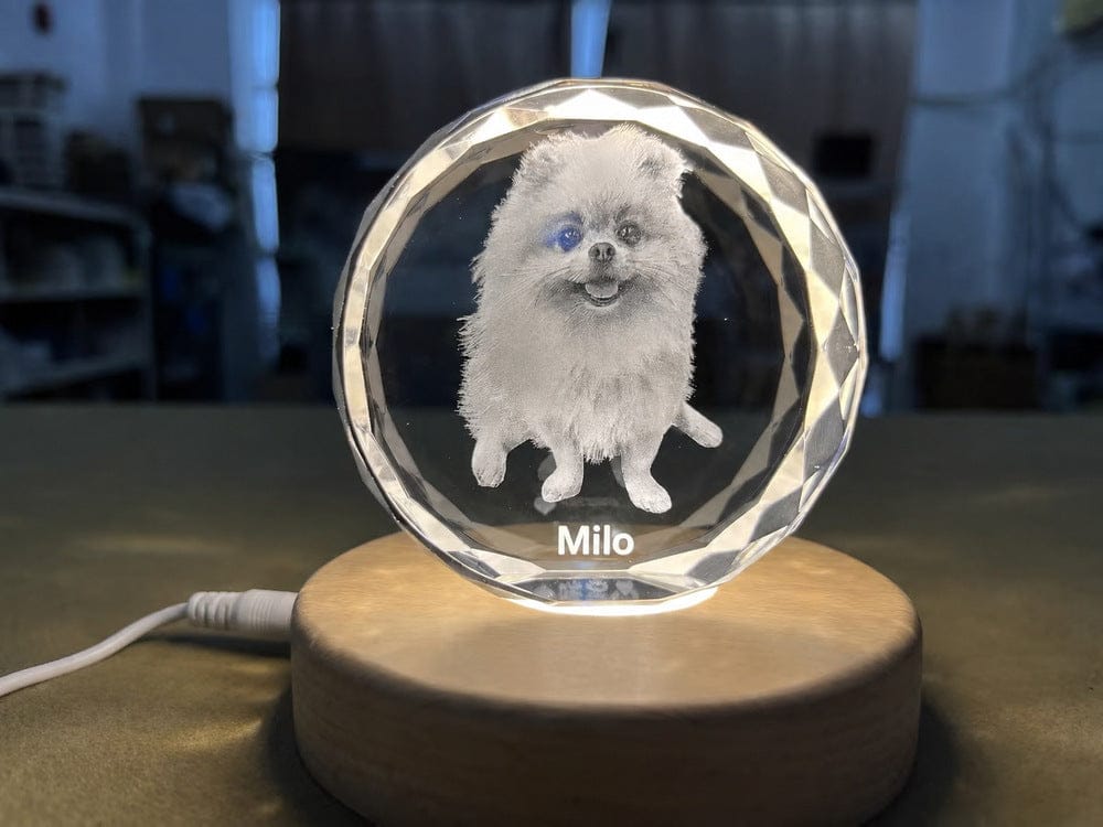 Customer photo review of 3D Pet Portrait Sculpting Crystal Night Light