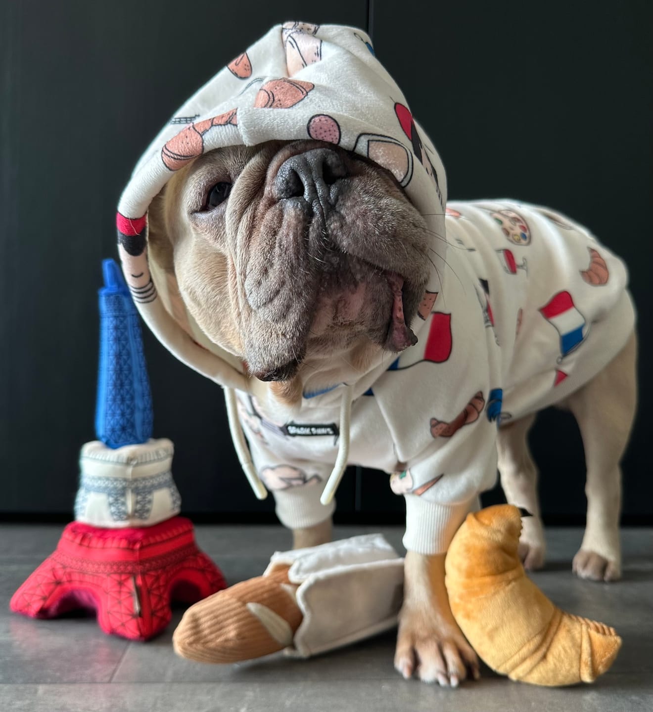 Customer photo review of The France Dog Hoodie - Beige