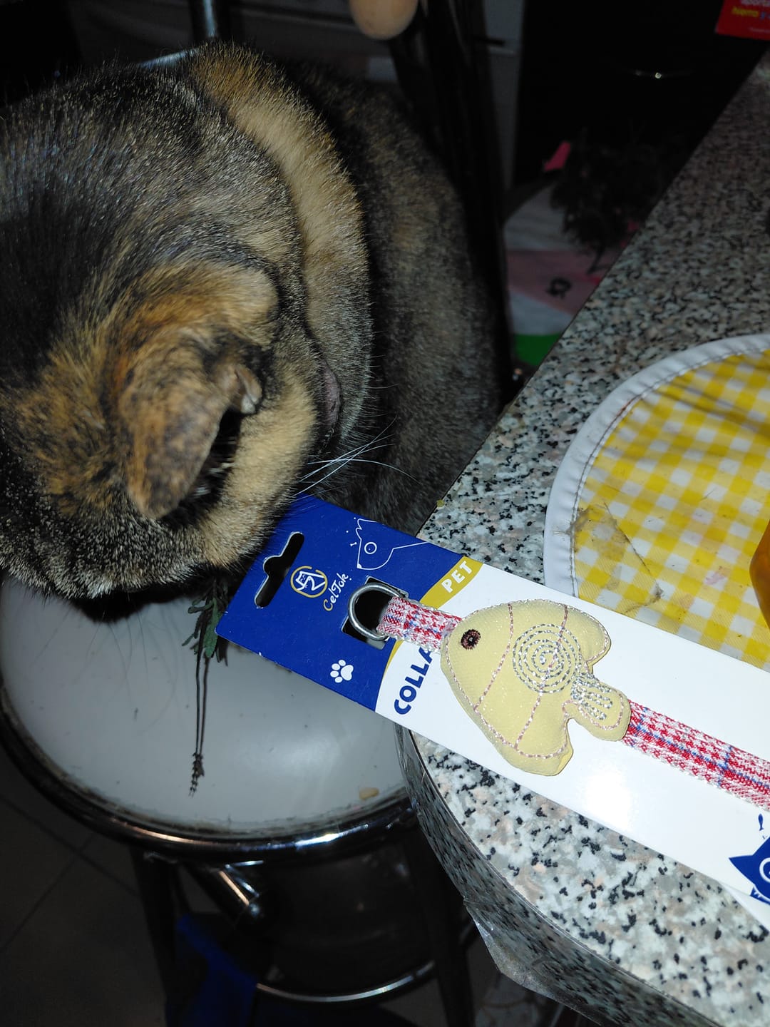 Customer photo review of CT2153 1 Pieza Collar Para Mascota Con Diseño De Pez