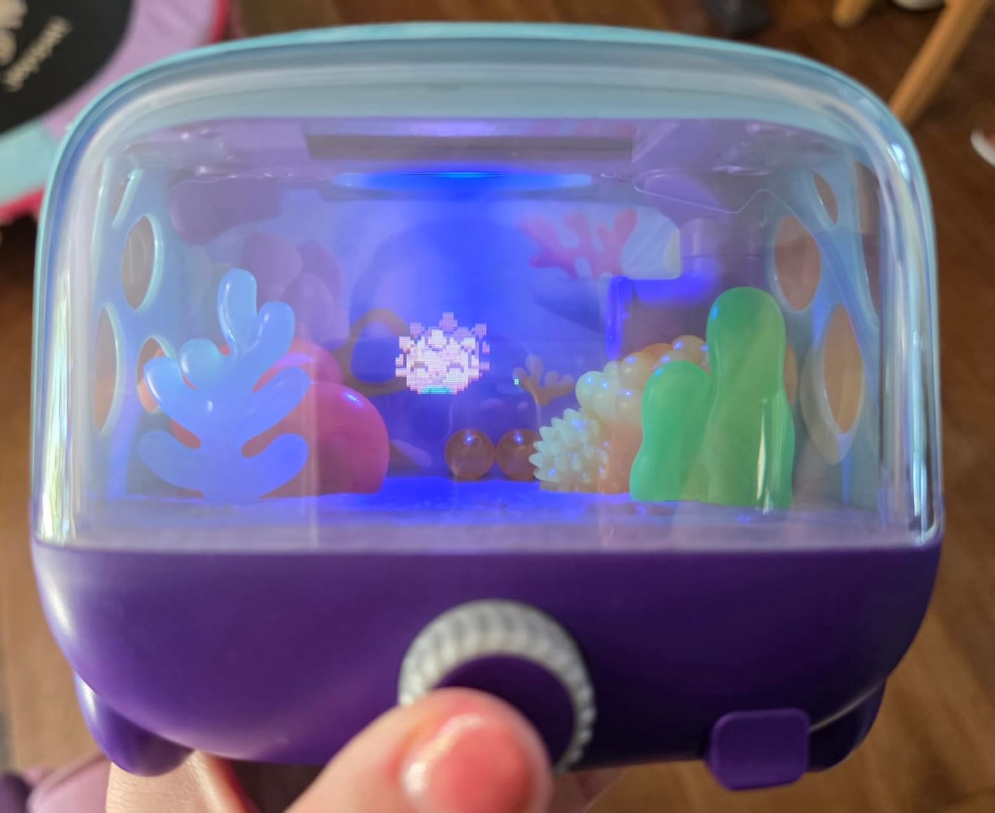 Customer photo review of Bitzee Aquarium Fish Tank