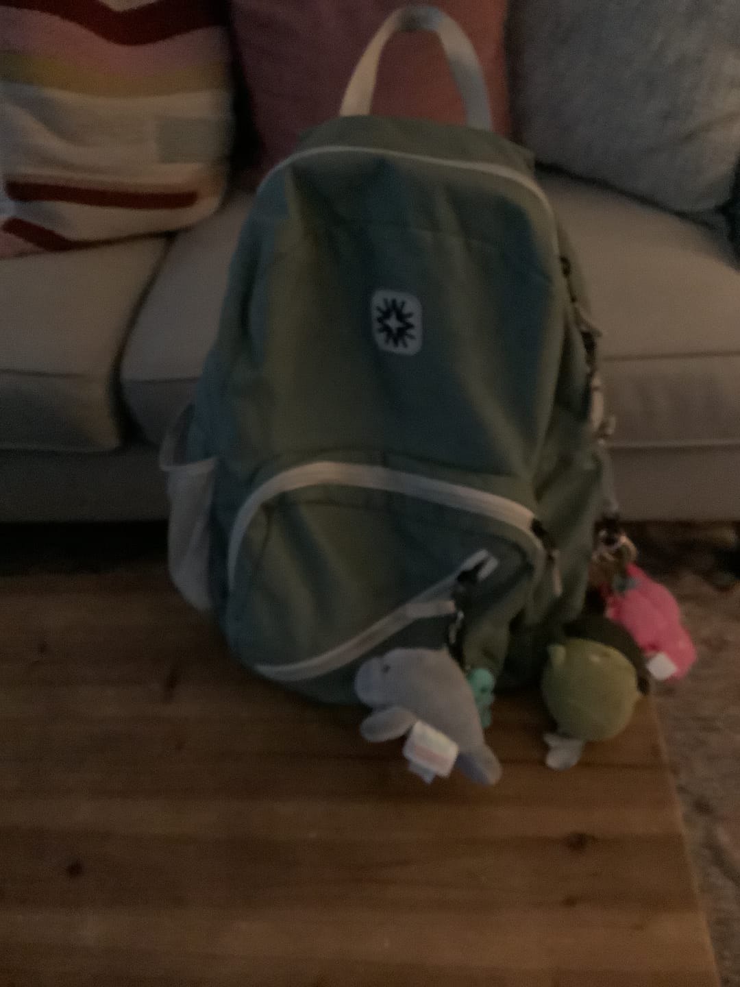 Customer photo review of Tiny Tommy Pack Black