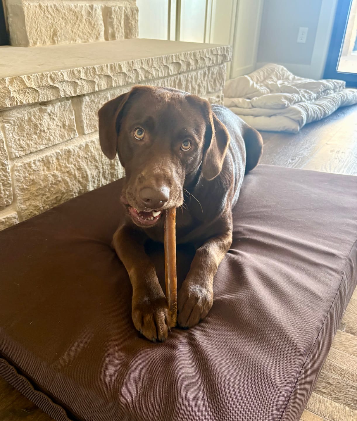 Customer photo review of Monster Super Bull Sticks