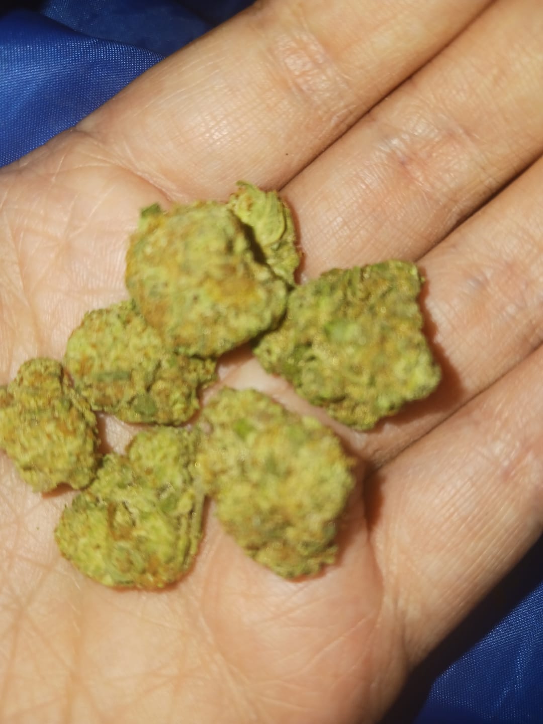 Customer photo review of Raspberry Kush - 28 Grams - Indica
